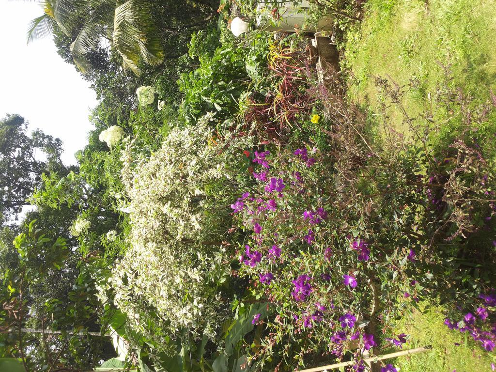 Athens Cottage Munnar Exterior photo